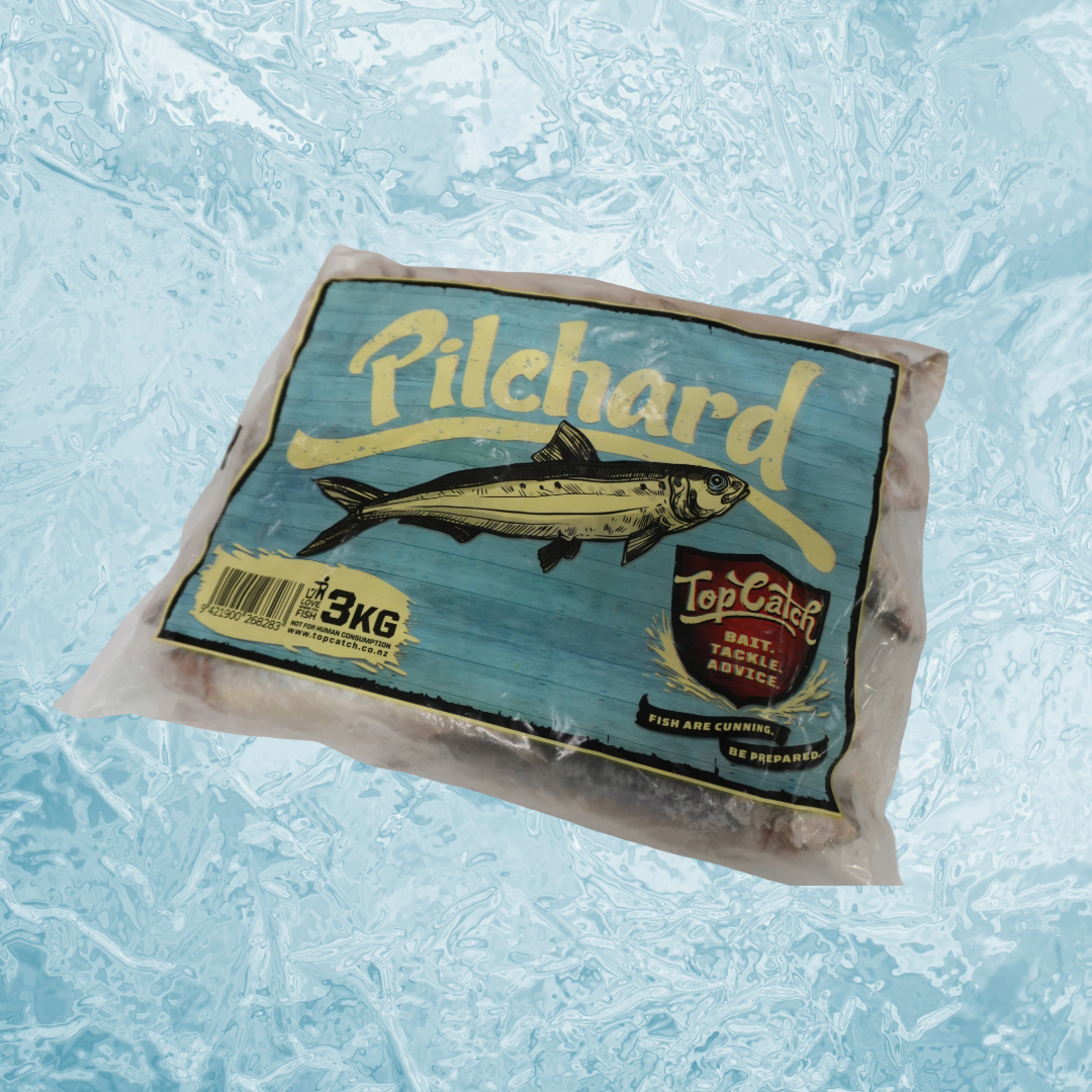 Top Catch Pilchards