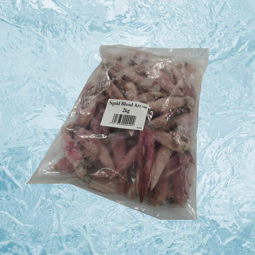 Squid