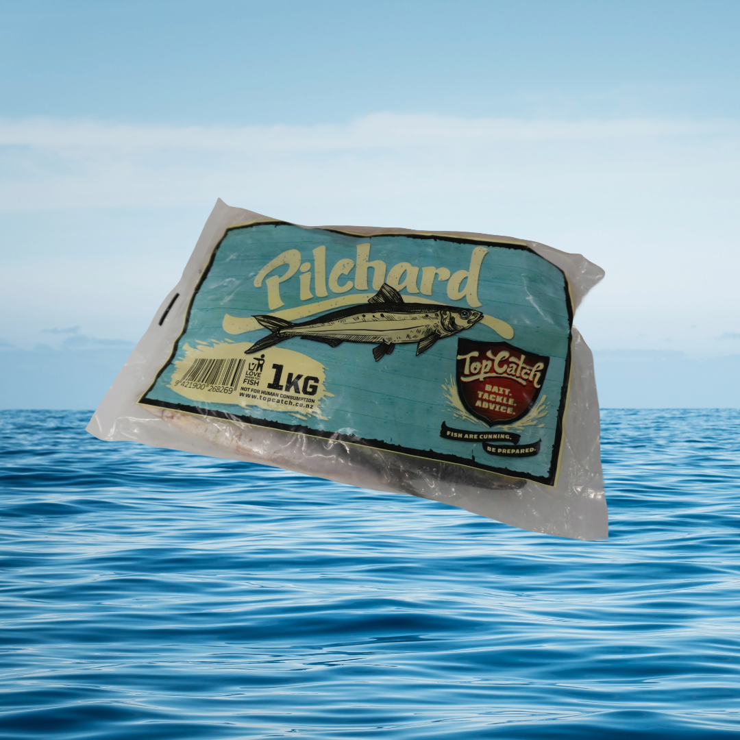 1KG Pilchards