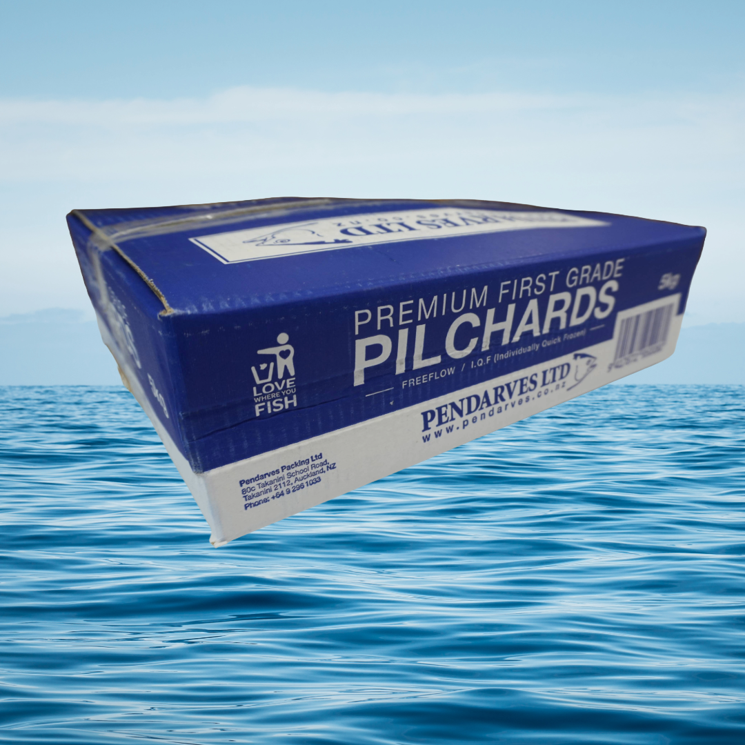 5KG Pilchards