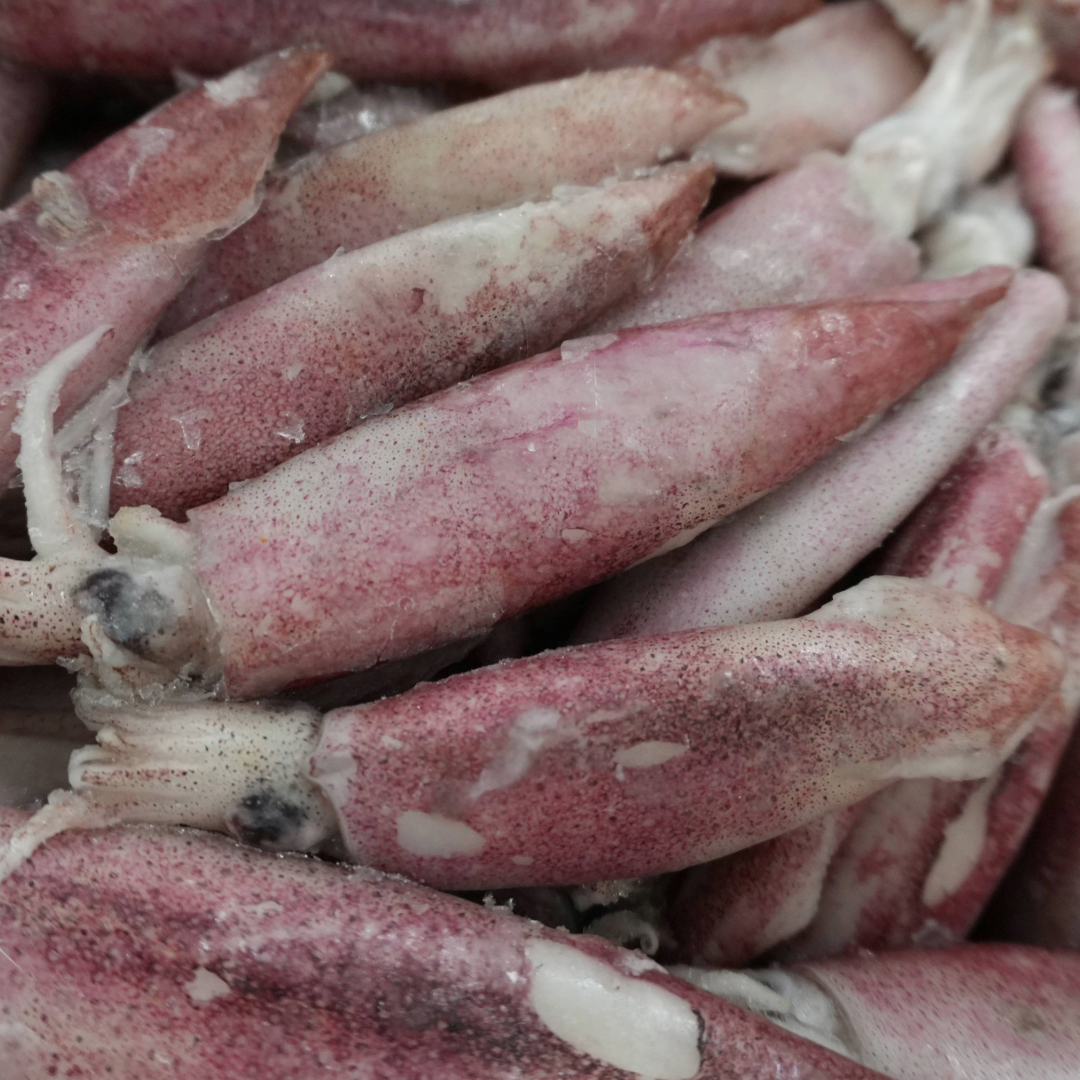 5Kg Blood Arrow squid
