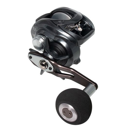 Daiwa 21 Lexa TW 300H-P