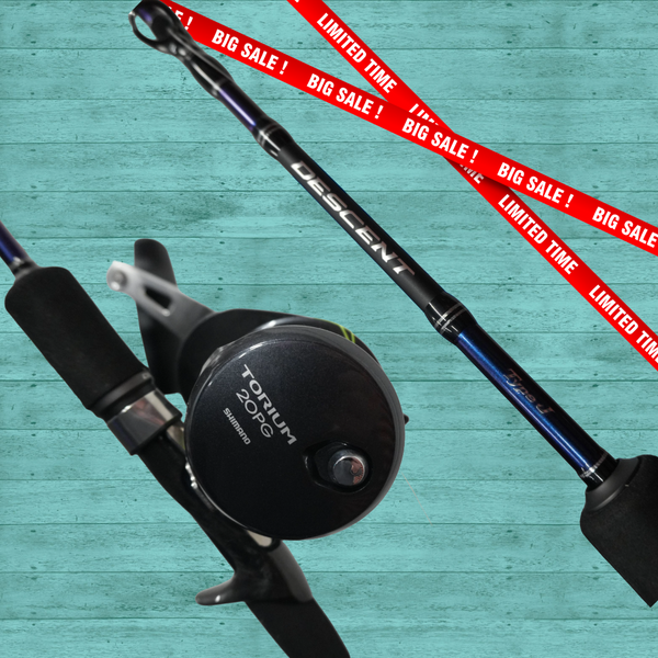 Shimano Torium 20HG / Shimano Descent J 5,8