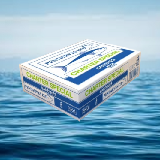 5KG Charter Special Pilchards