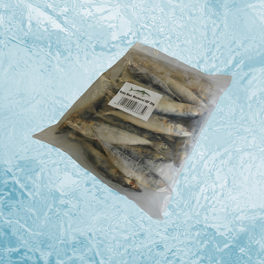 Baby Blue Mackerel 2KG