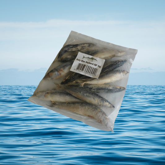 Baby Blue Mackerel 1KG