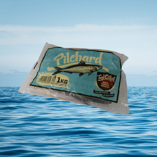 1KG Pilchards