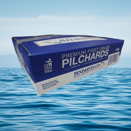 5KG Pilchards