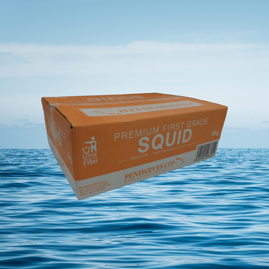 5KG Squid