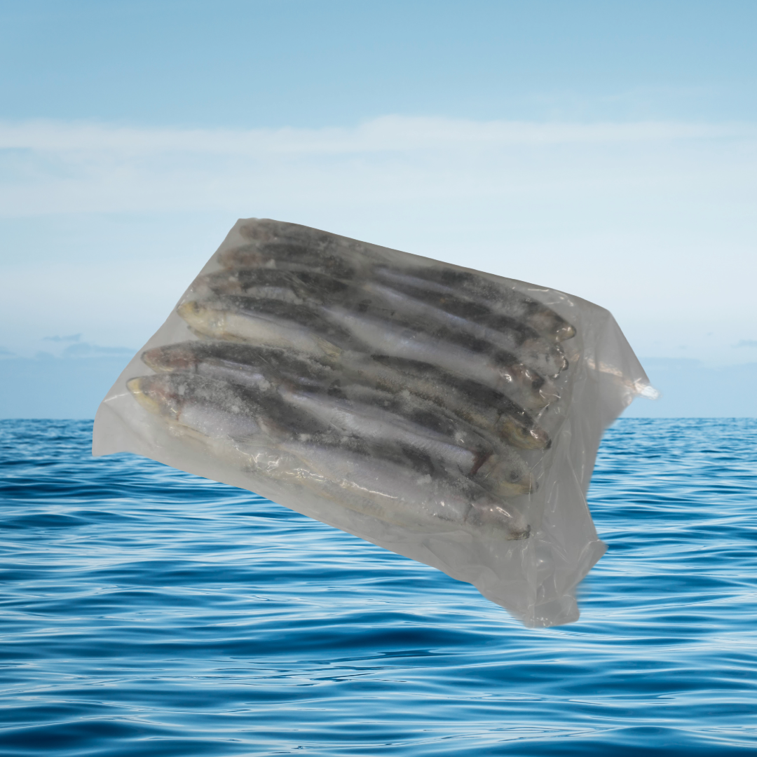 Pilchards 2KG Block