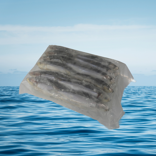 Pilchards 2KG Block