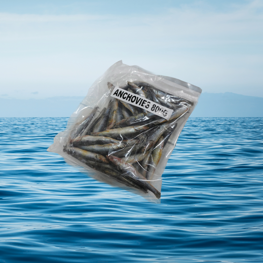 800g Anchovies