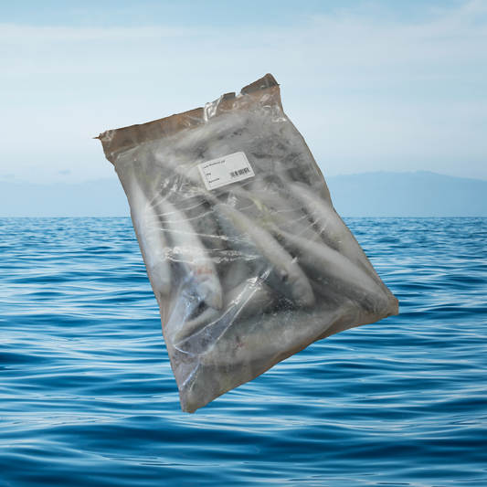 2KG Jack Mackerel